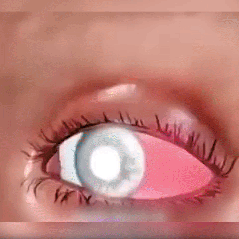 PureVision™ | Vision Enhancing Roller