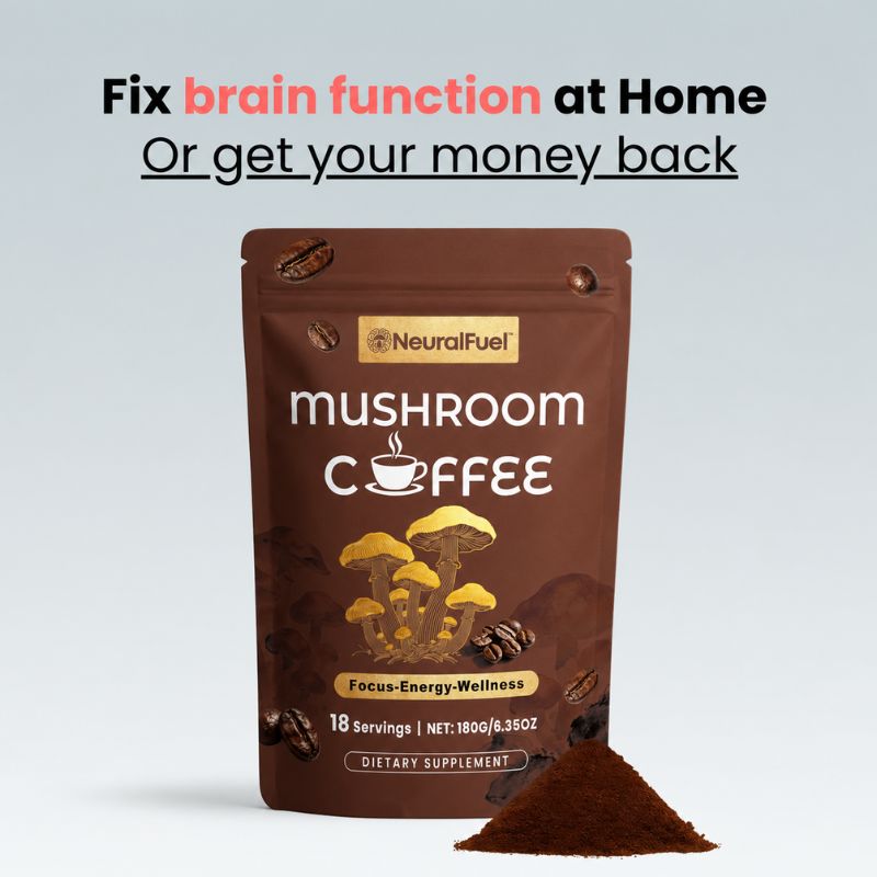 NeuralFuel™ | Mushroom Complex for Neural Pathway Repair