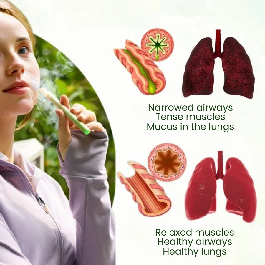 PuffiAir™ | Mullein Leaf Diffuser (4 Aromas in One Box)