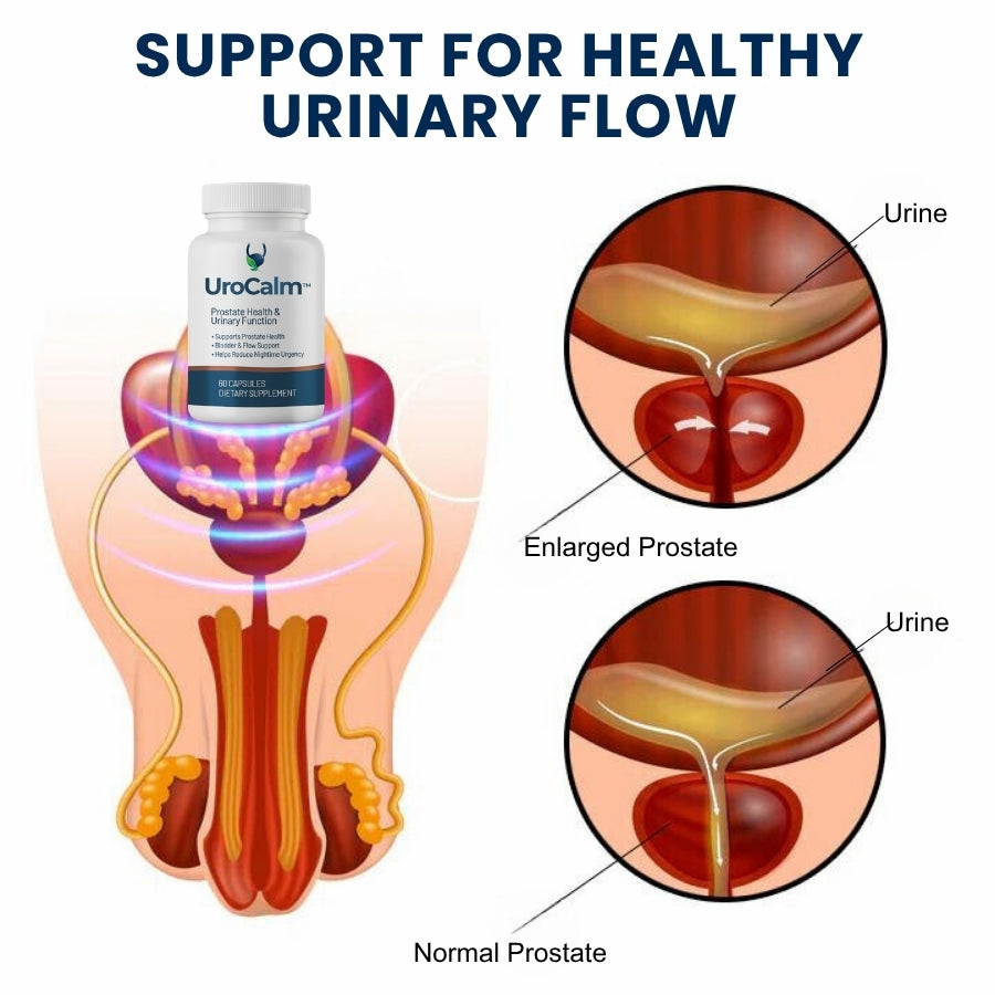UroCalm™ |  Prostate Health &  Urinary Function