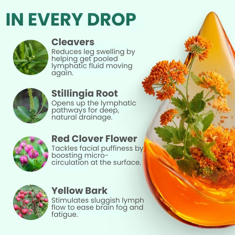 Lymphoria™ | Lymphatic Drainage Wellness Drops